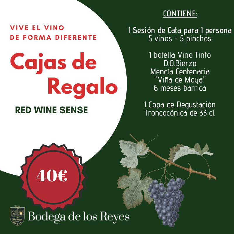 Caja Regalo Red Wine Sense