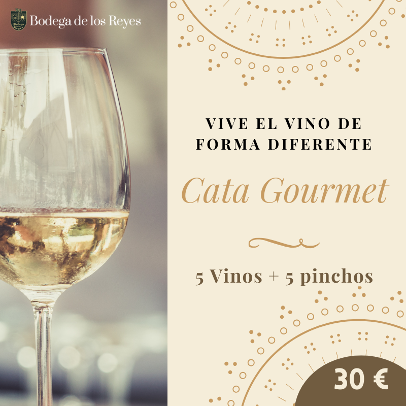 cata Gourmet 30€