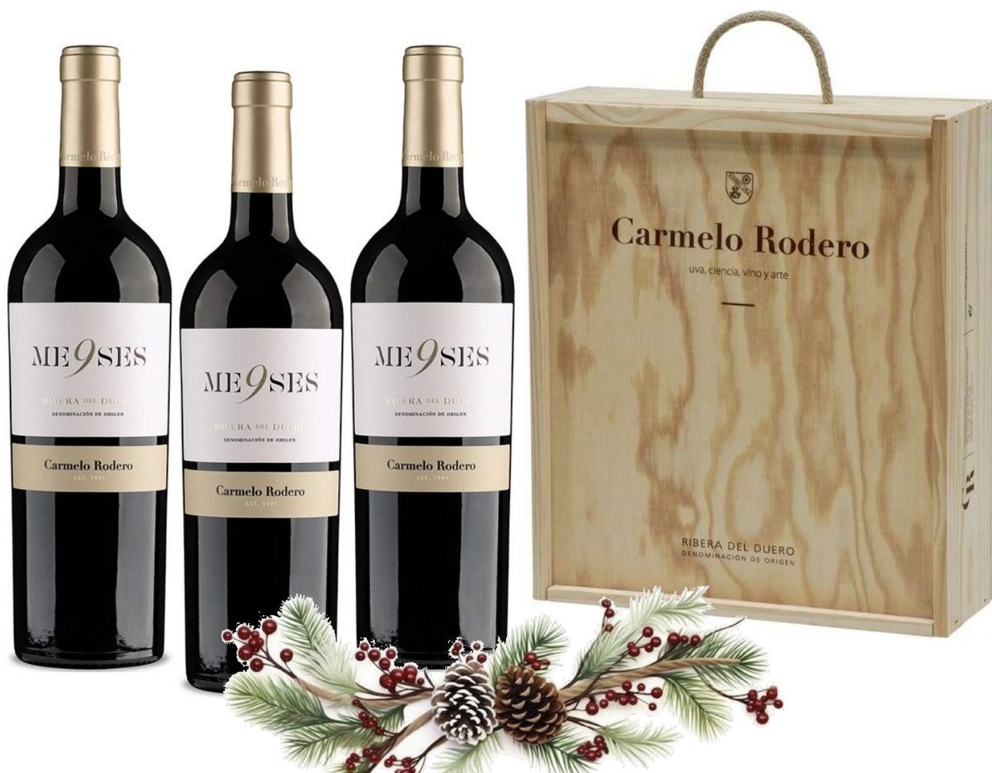 CARMELO RODERO 9 MESES