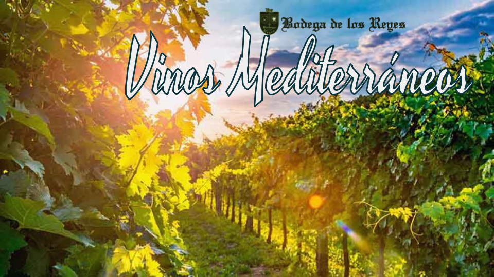 vinos atlanticos vs vinos mediterraneos 02