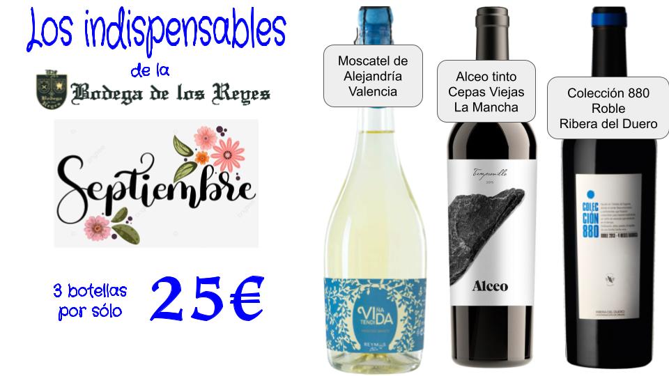 MEJORES VINOS ESPAÑOLES POR DEBAJO DE 15€ (16)