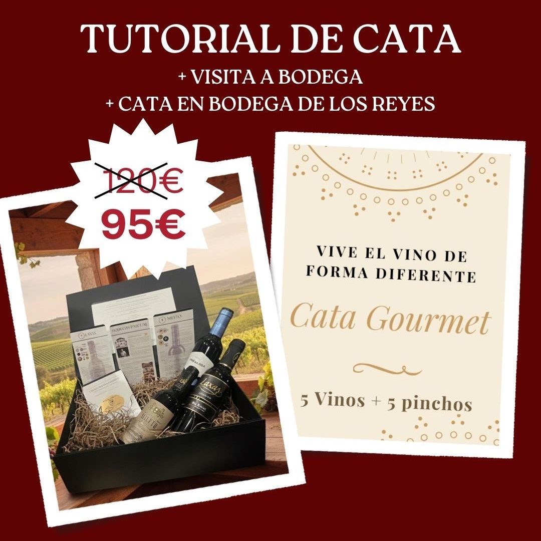 Sesión de Cata en La Bodega de los Reyes para dos + Tutorial de cata con 3 botellas + Visita a Bodega