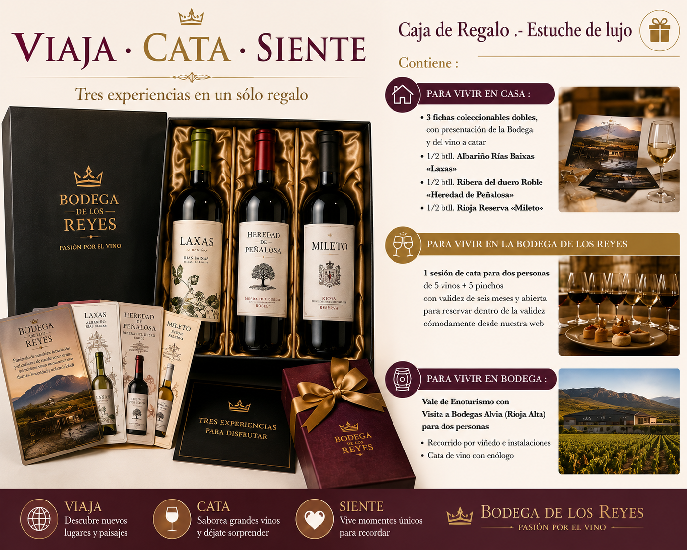 3 en 1 : Tutorial de Cata+Sesión de Cata+Viaje de Enoturismo para dos
